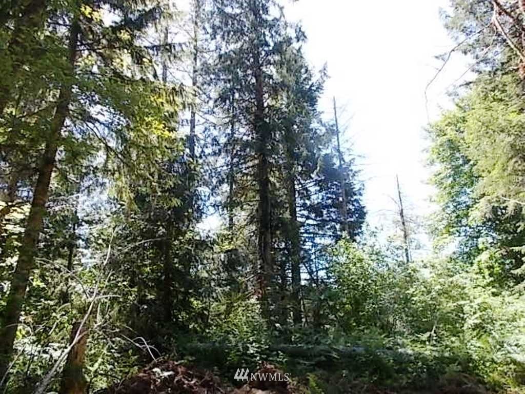 0 Old Barn Road Randle, WA 98377 - Photo 12 of 25 Gallery Image 12