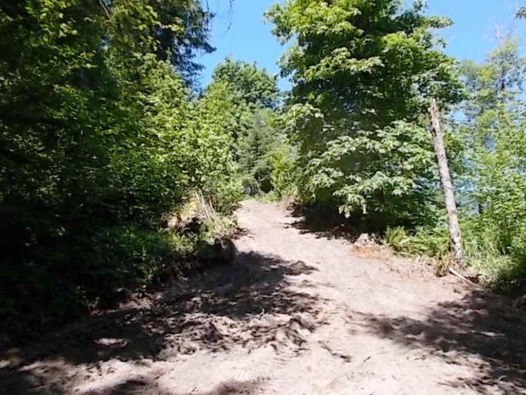 0 Old Barn Road Randle, WA 98377 - Photo 13 of 25 Gallery Image 13