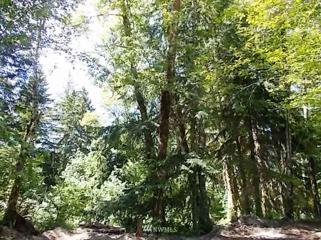 0 Old Barn Road Randle, WA 98377 - Photo 14 of 25 Gallery Image 14