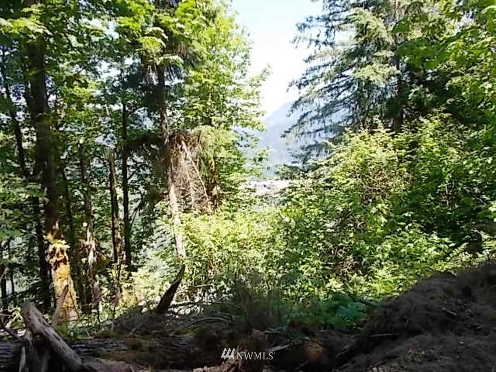 0 Old Barn Road Randle, WA 98377 - Photo 17 of 25 Gallery Image 17