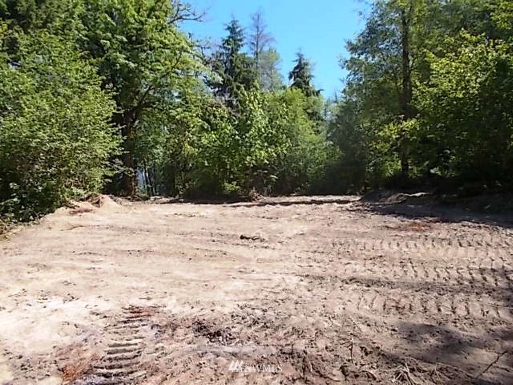 0 Old Barn Road Randle, WA 98377 - Photo 3 of 25 Gallery Image 3