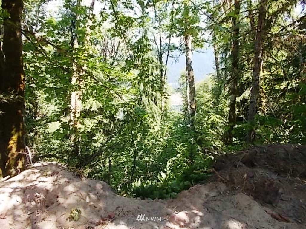 0 Old Barn Road Randle, WA 98377 - Photo 4 of 25 Gallery Image 4