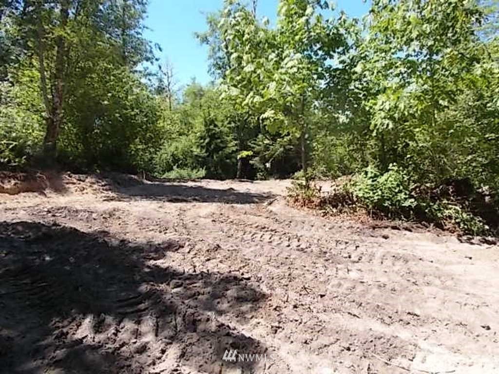 0 Old Barn Road Randle, WA 98377 - Photo 5 of 25 Gallery Image 5