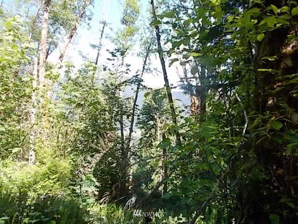 0 Old Barn Road Randle, WA 98377 - Photo 9 of 25 Gallery Image 9