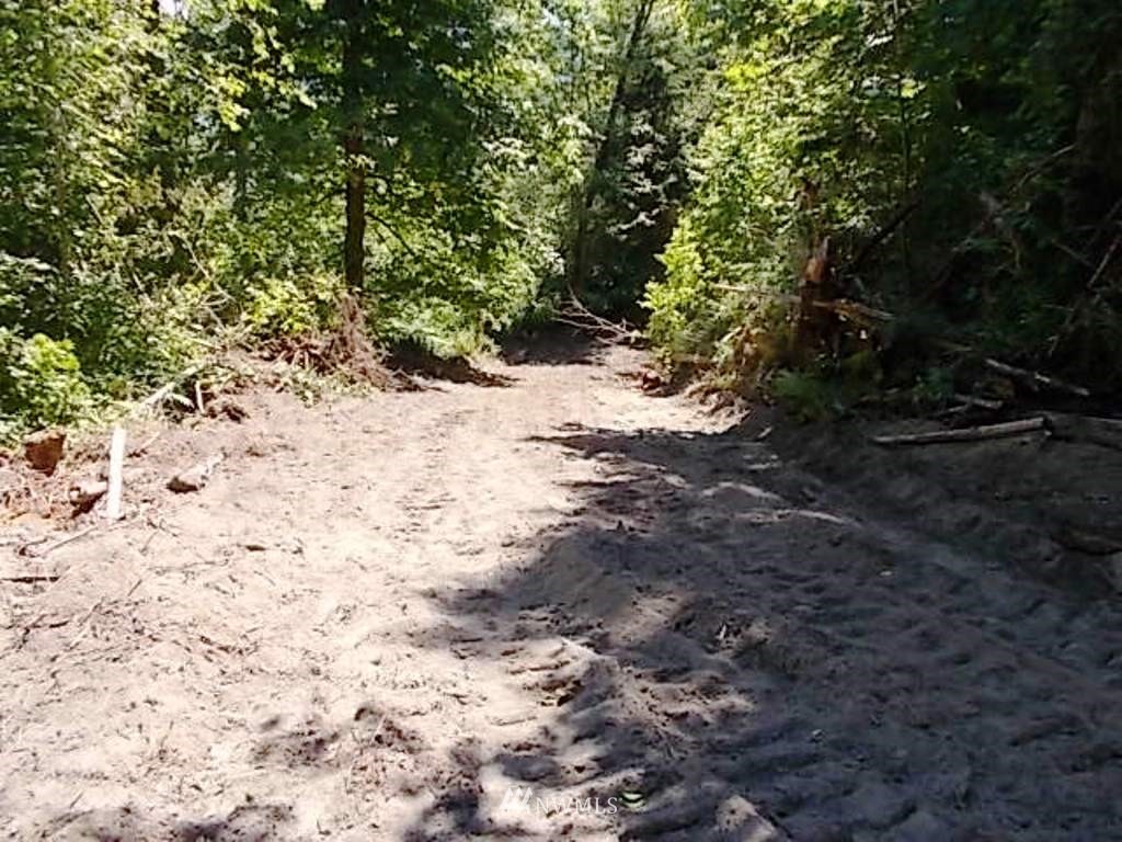 0 Old Barn Road Randle, WA 98377 - Photo 10 of 25 Gallery Image 10