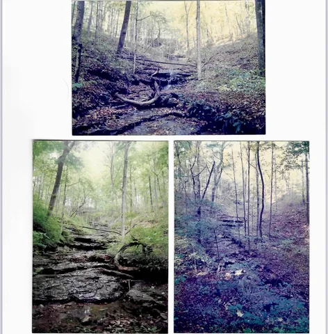 $899,900 | 3575 Tyree Springs Road, Hendersonville, TN 37075