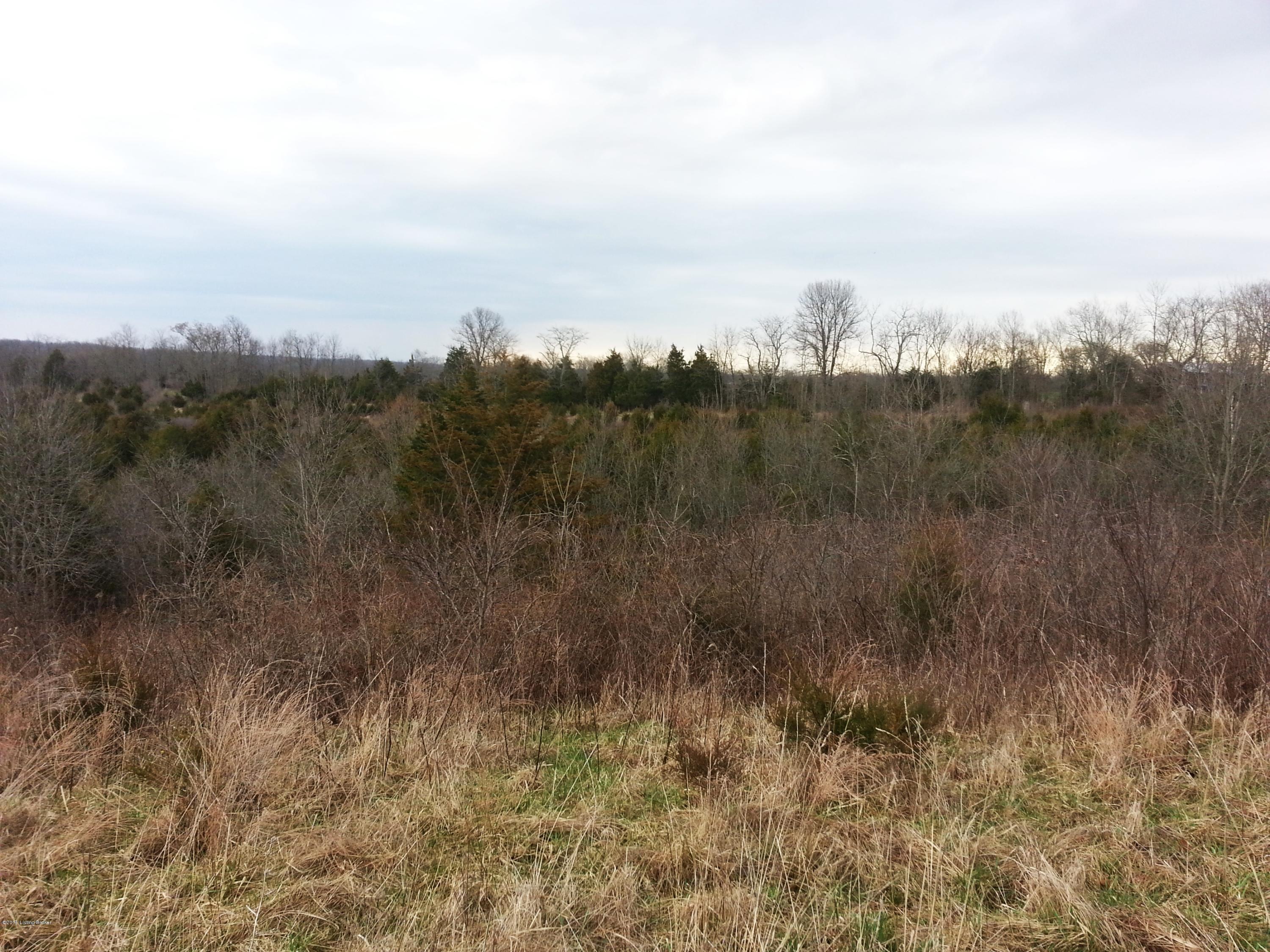 3318 Mt Eden Road Lawrenceburg, KY 40342 - Photo 9 of 10 9