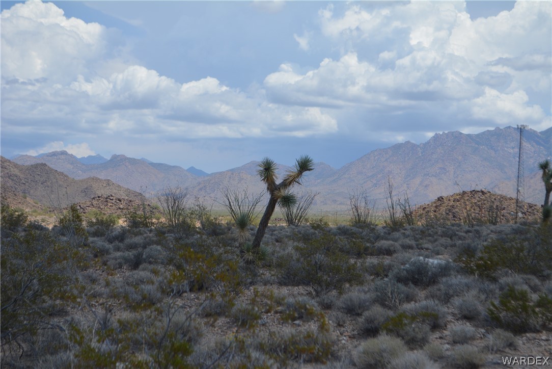 208-24-134 Cameron Road Yucca, AZ 86438 - Photo 25 of 86