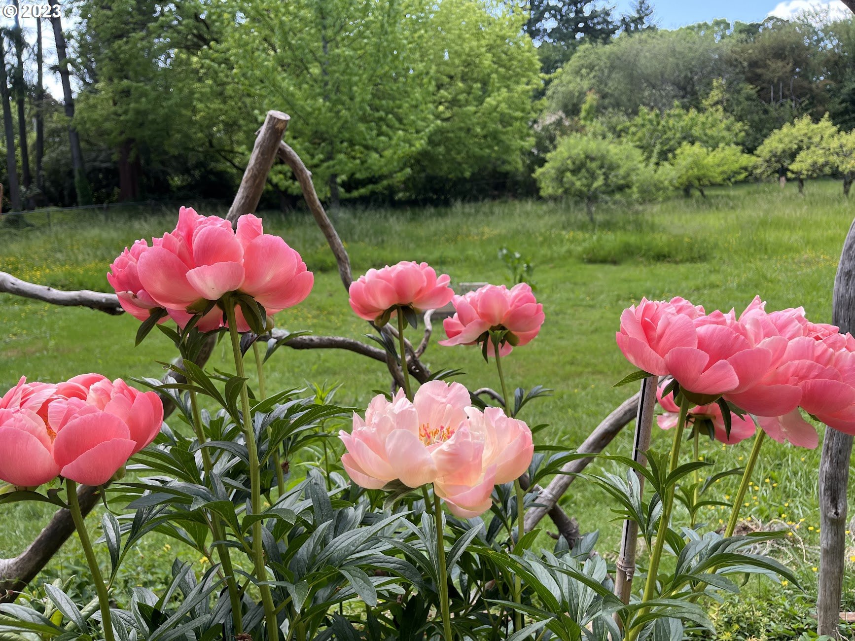 8425 Southwest Ridgeway Drive Portland, OR 97225 - Photo 28 of 41