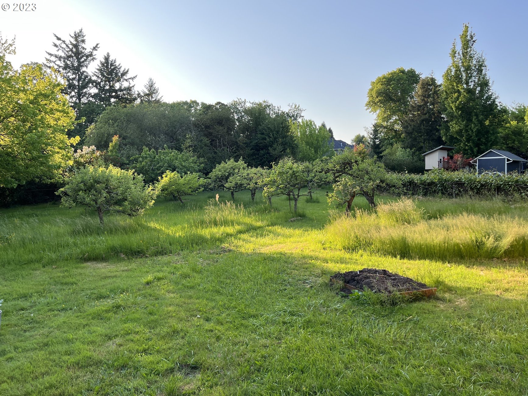8425 Southwest Ridgeway Drive Portland, OR 97225 - Photo 29 of 41 a view of a lake with a yard and large trees
