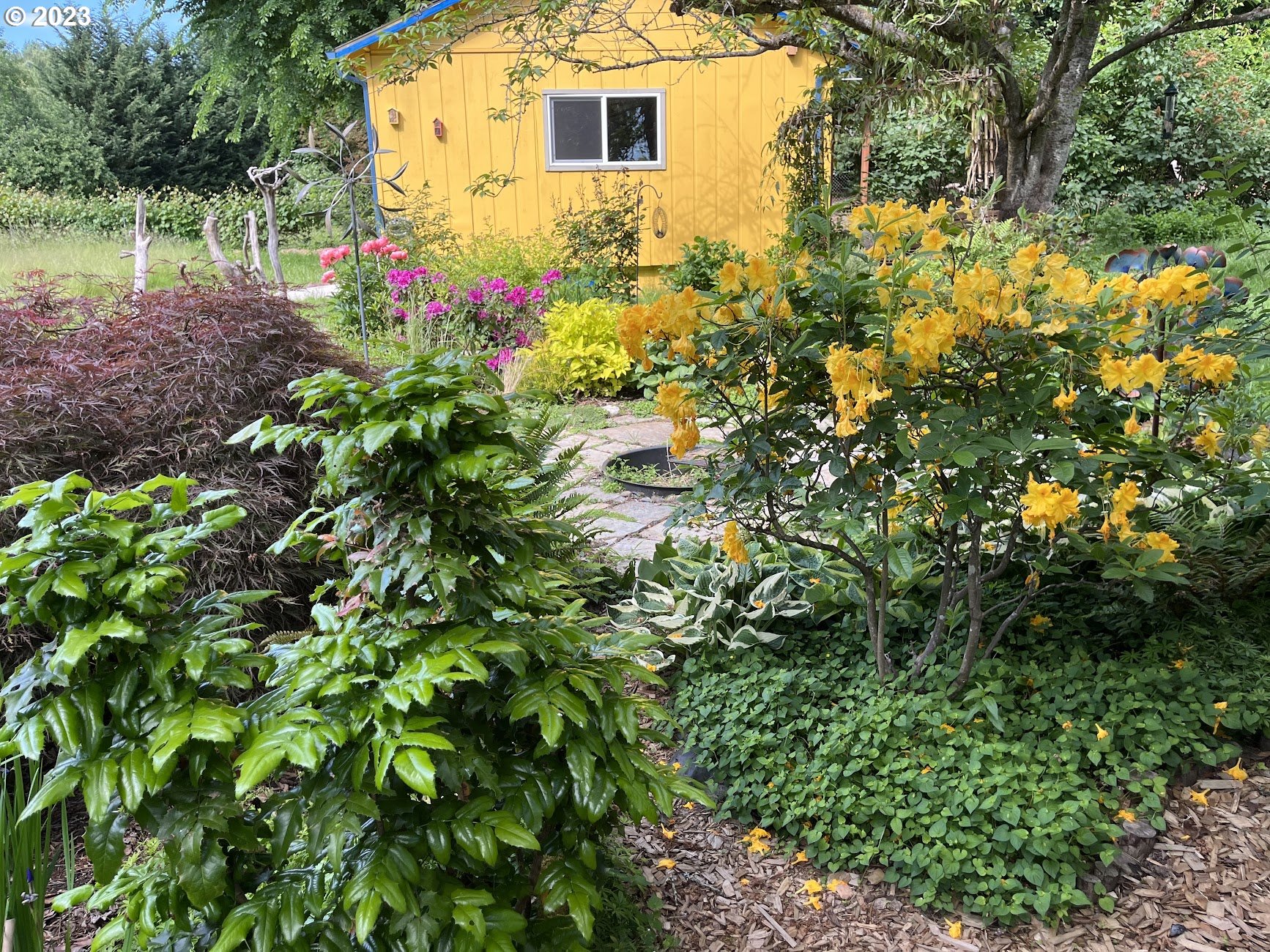 8425 Southwest Ridgeway Drive Portland, OR 97225 - Photo 33 of 41 a backyard of a house with lots of green space and trees all around