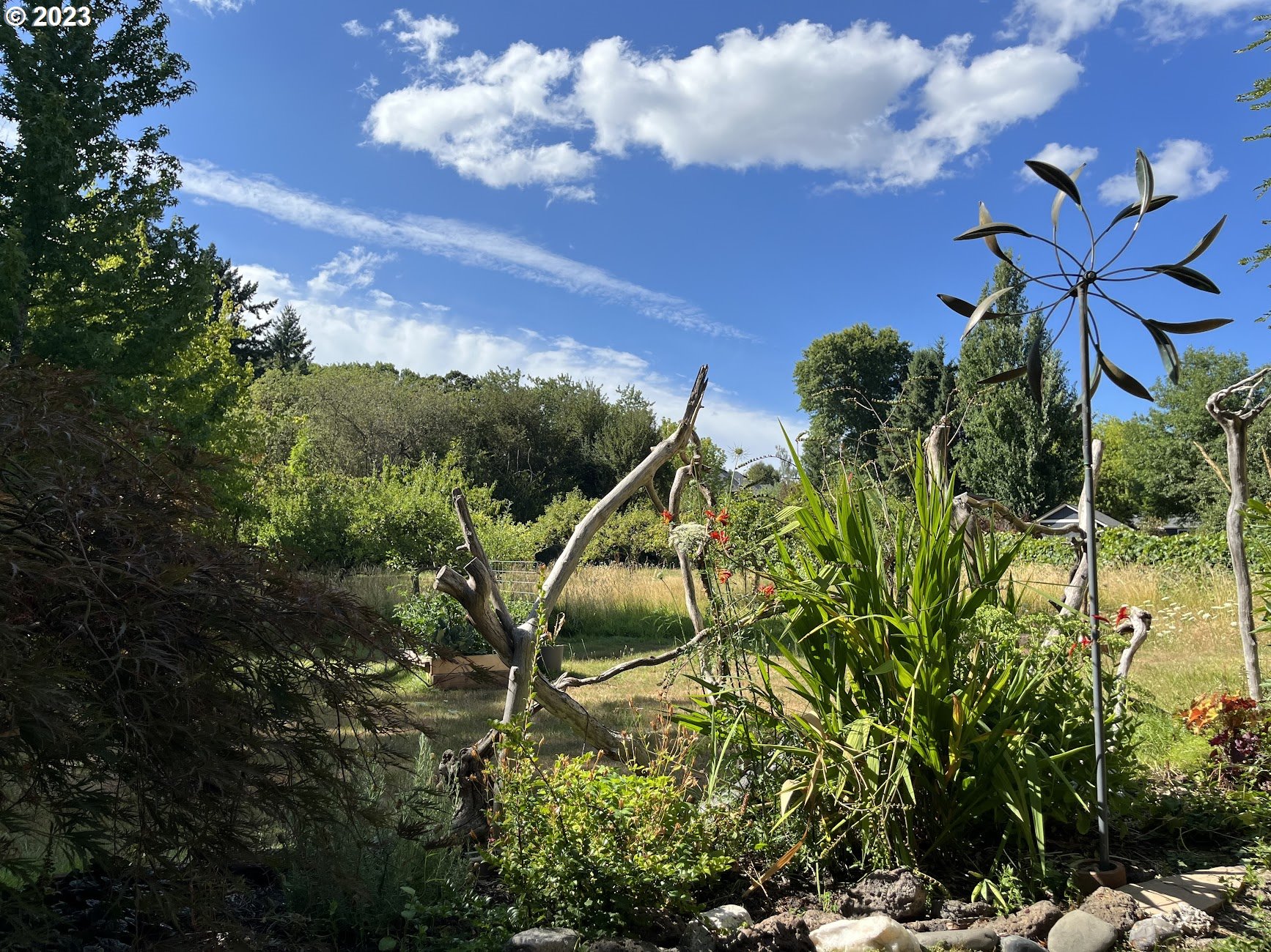 8425 Southwest Ridgeway Drive Portland, OR 97225 - Photo 36 of 41 a view of a flower in a garden
