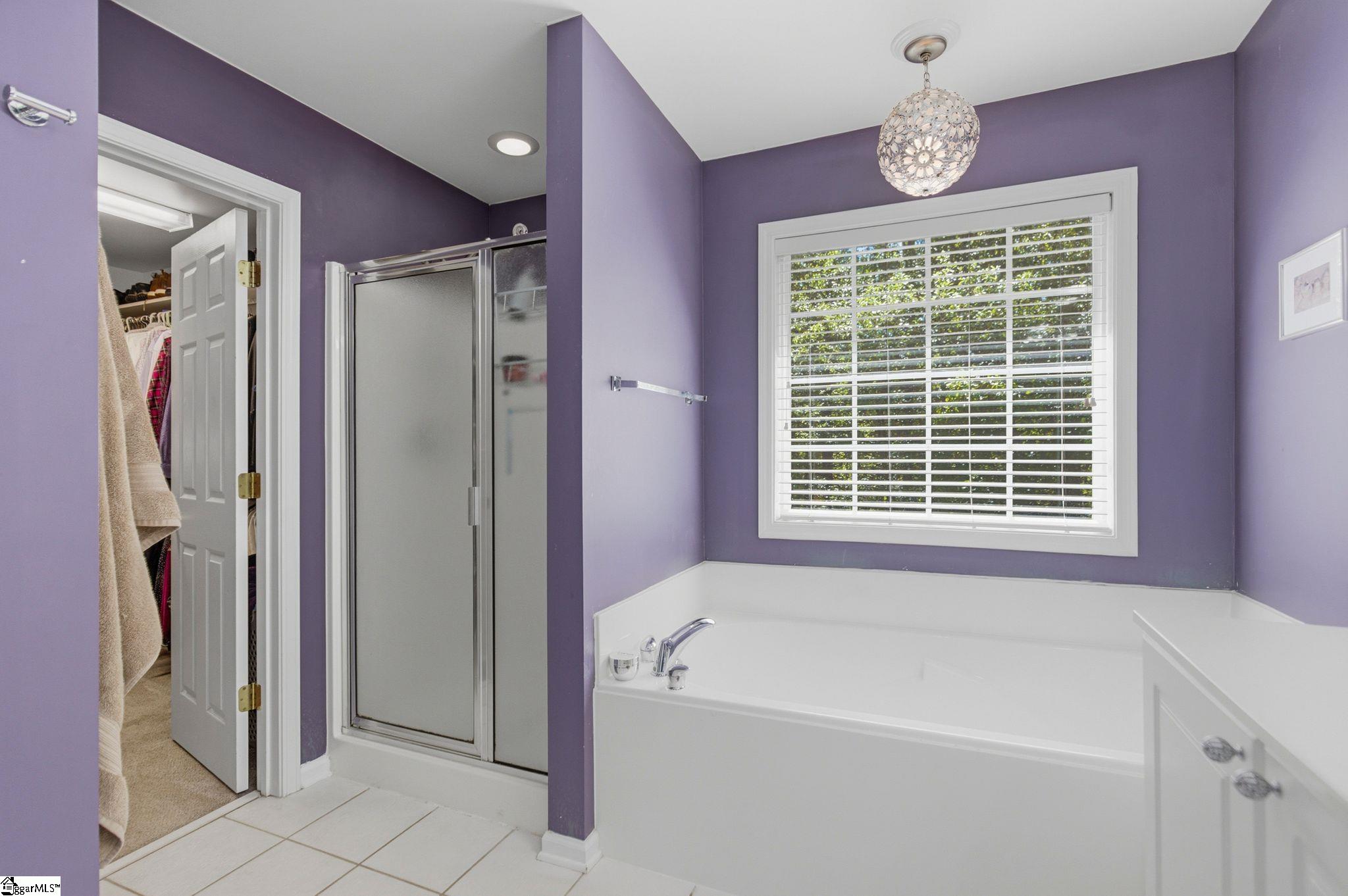 3 Chestnut Hill Place Simpsonville, SC 29680 - Photo 18 of 48