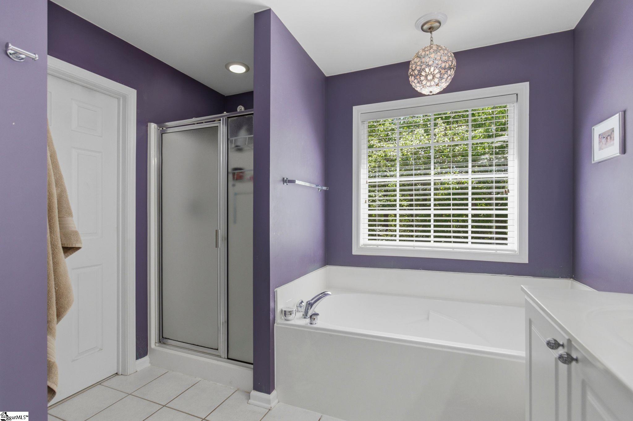 3 Chestnut Hill Place Simpsonville, SC 29680 - Photo 19 of 48