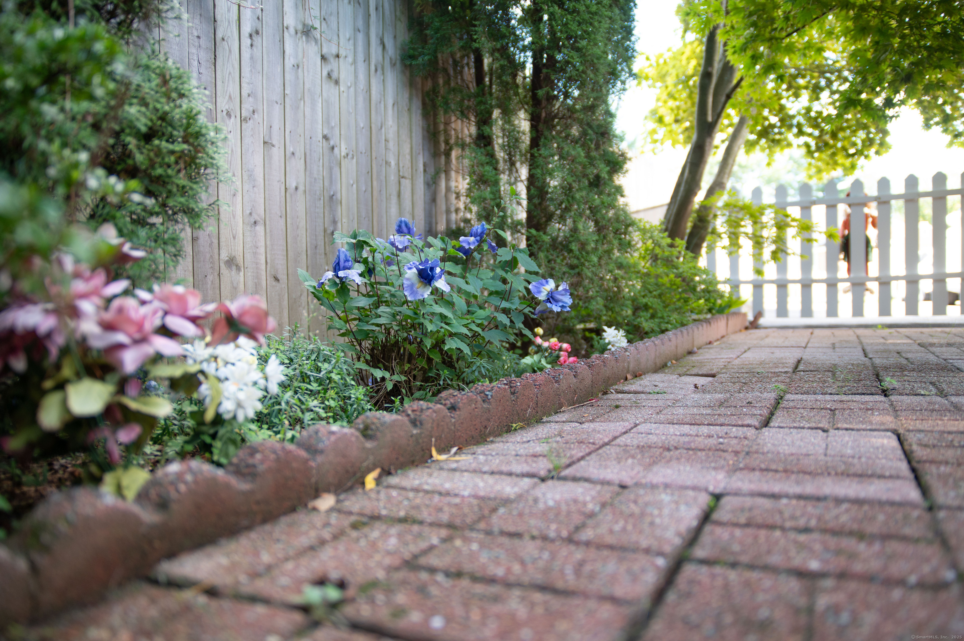 26 Crescent Park Road Westport, CT 06880 - Photo 20 of 23 a view of a garden with flowers