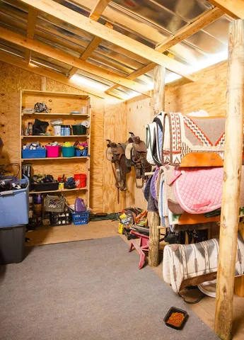 a view of a yard with trees