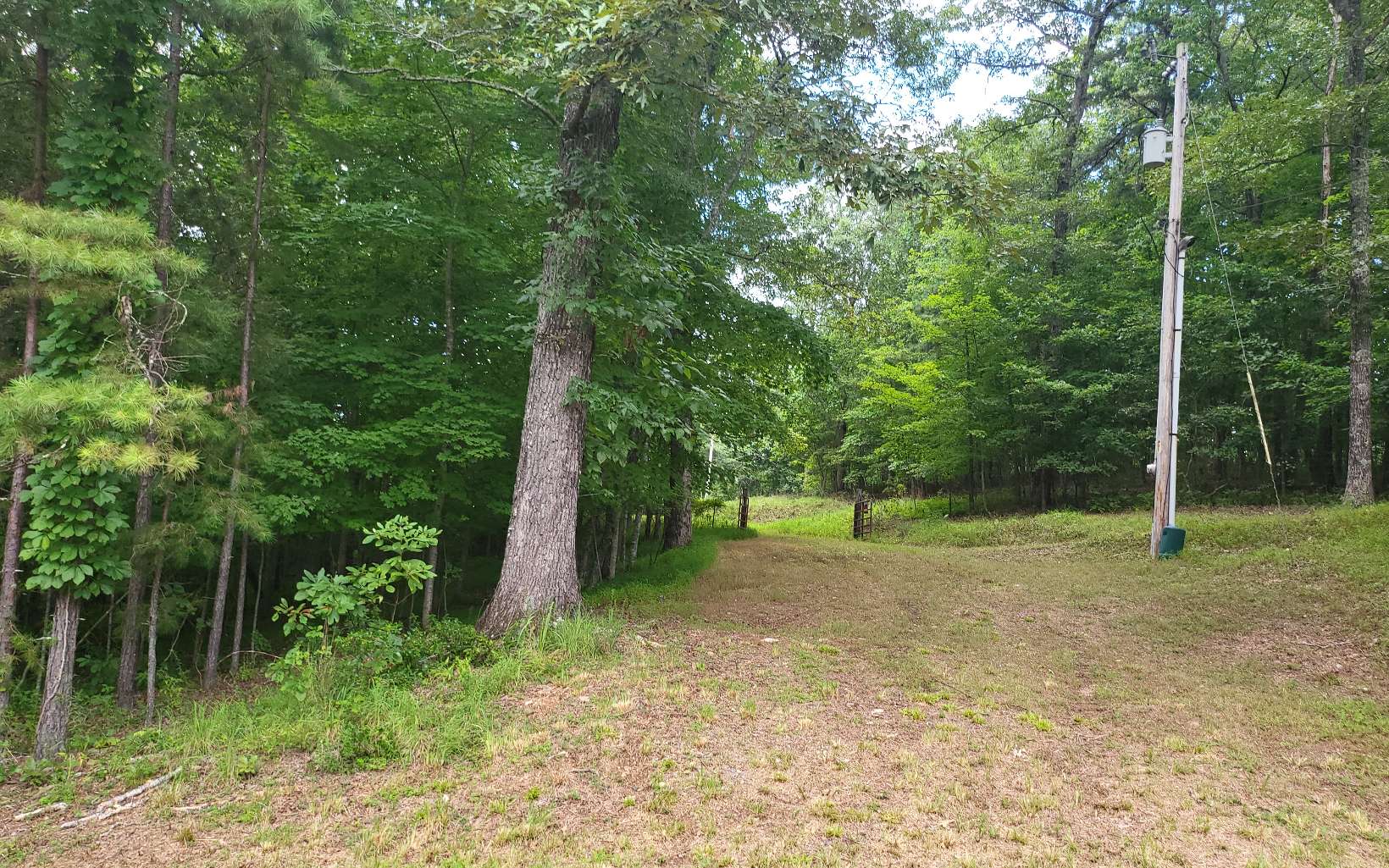 28 Spring Creek Road Blue Ridge, GA 30513 - Photo 2 of 4 Additional View