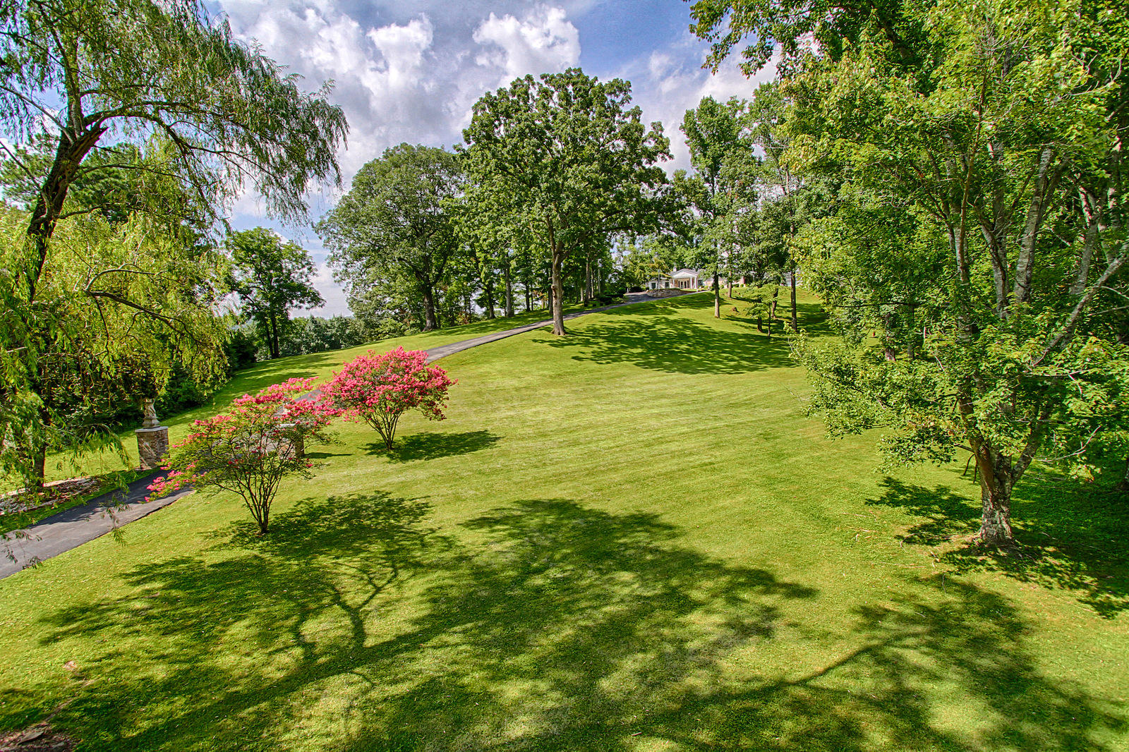 816 Old Emory Road Clinton, TN 37716 - Photo 3 of 40 Mature Manicured Trees & Lawn