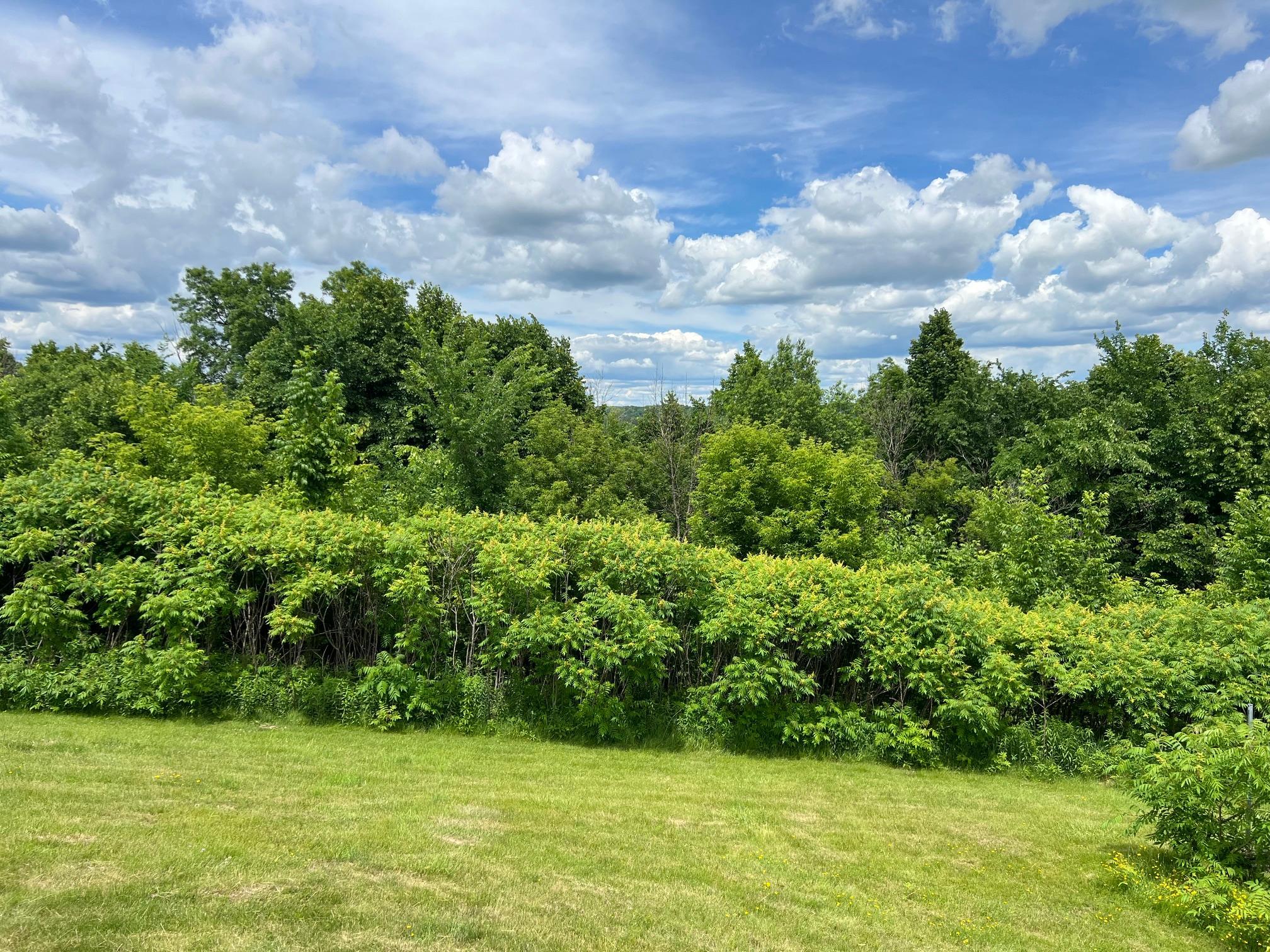 W8972 520th Avenue Ellsworth, WI 54011 - Photo 30 of 36
