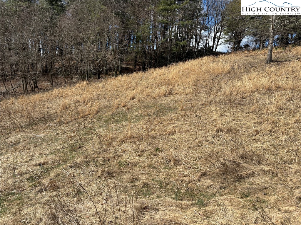 Lot 3 Browns Chapel Road Boone, NC 28607 - Photo 19 of 21 Gallery Image 19