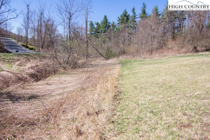 Lot 3 Browns Chapel Road Boone, NC 28607 - Photo 10 of 21 Gallery Image 10