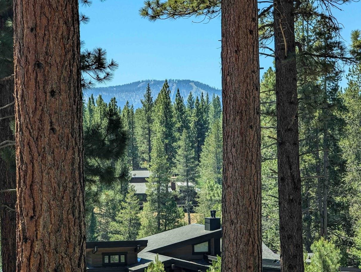 11360 Ghirard Road Truckee, CA 96161 - Photo 2 of 13 a view of a garden from a balcony