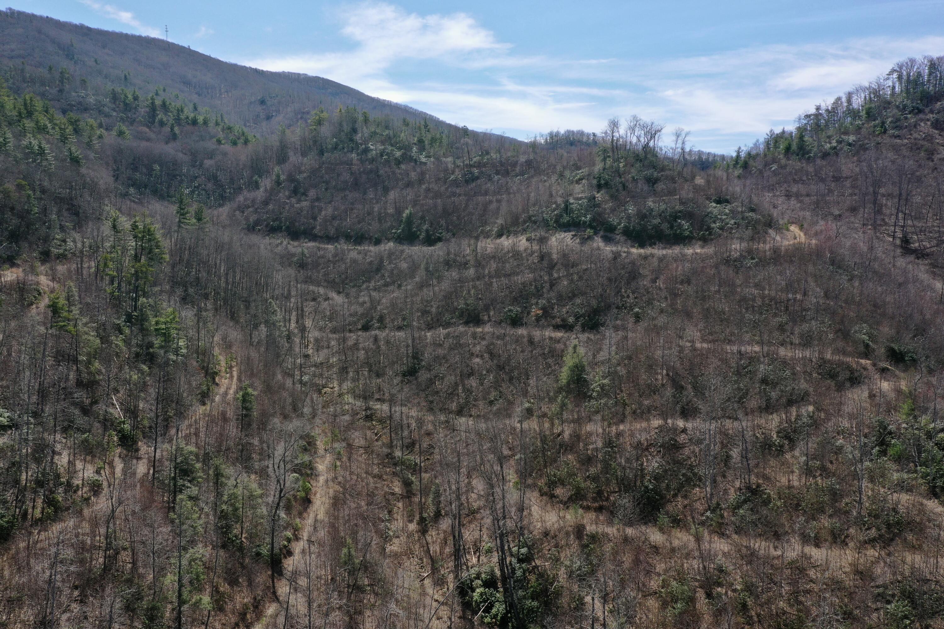 0 Sandy Road Mountain City, TN 37683 - Photo 12 of 18 Copy of DJI_0649