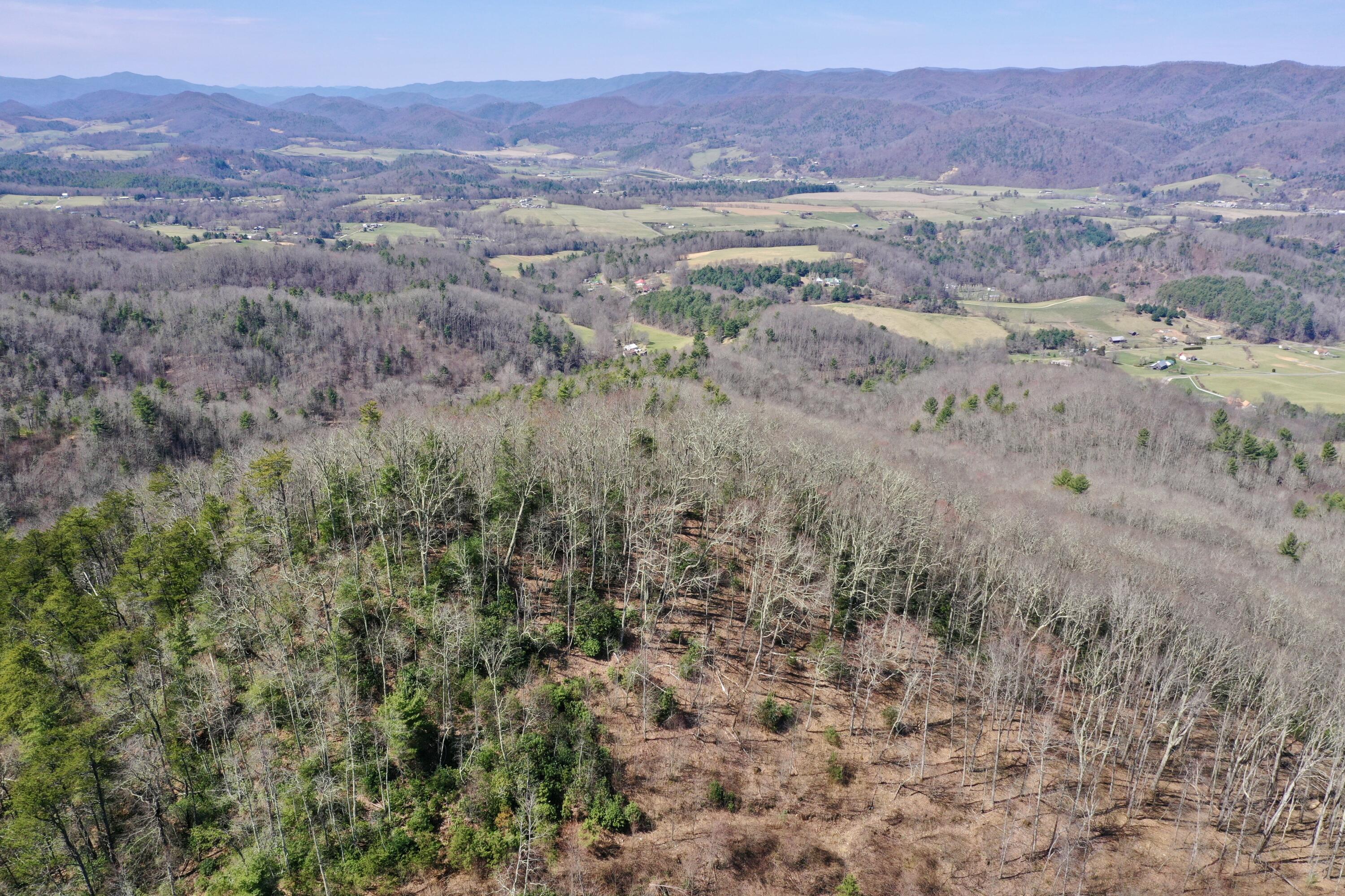 0 Sandy Road Mountain City, TN 37683 - Photo 4 of 18 Copy of DJI_0618