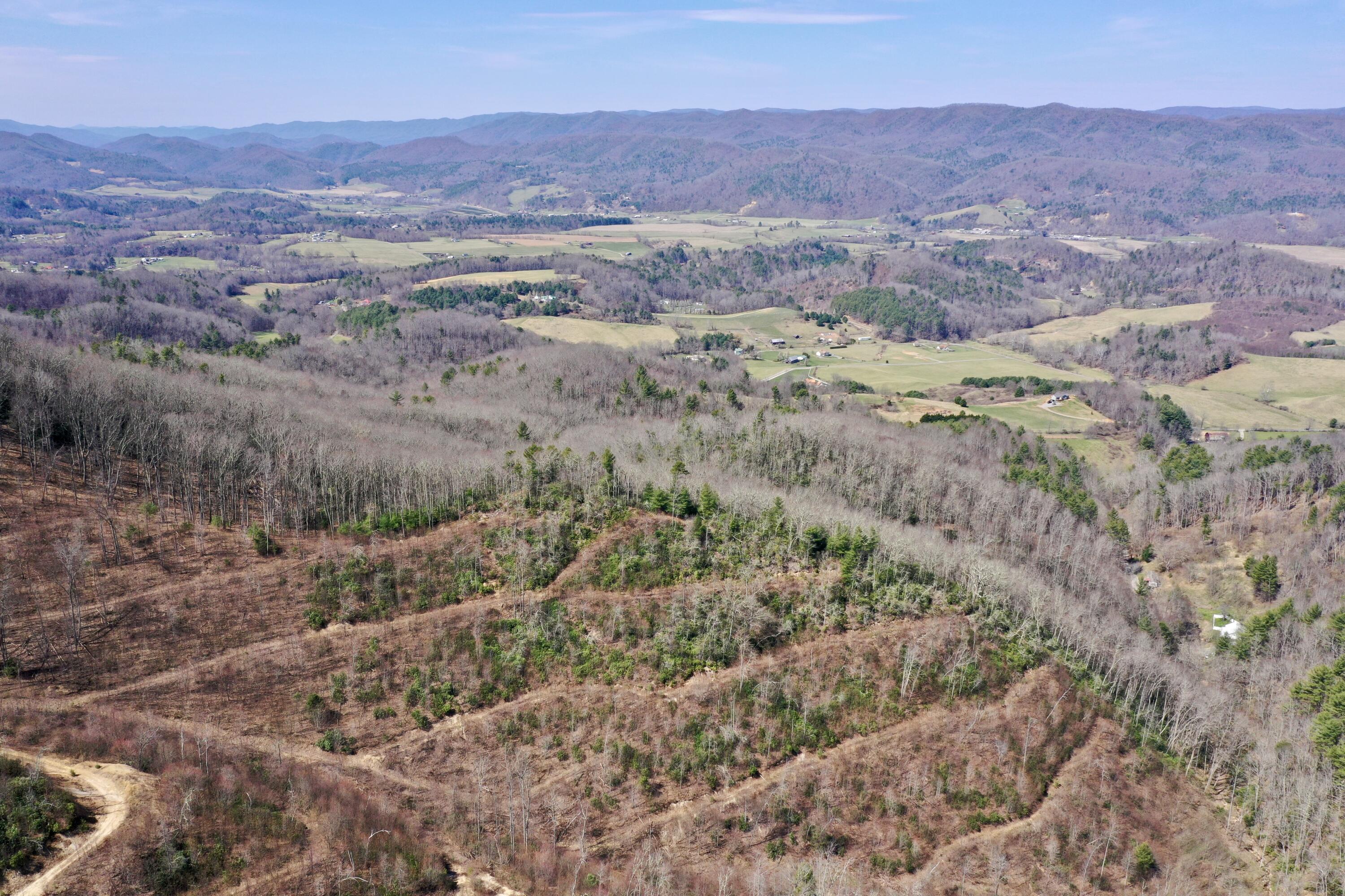 0 Sandy Road Mountain City, TN 37683 - Photo 9 of 18 Copy of DJI_0624