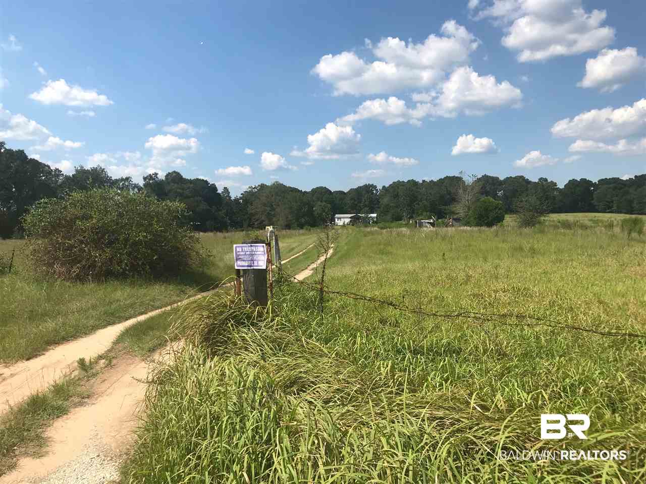8480 Sand Ridge Road Citronelle, AL 36522 - Photo 8 of 8