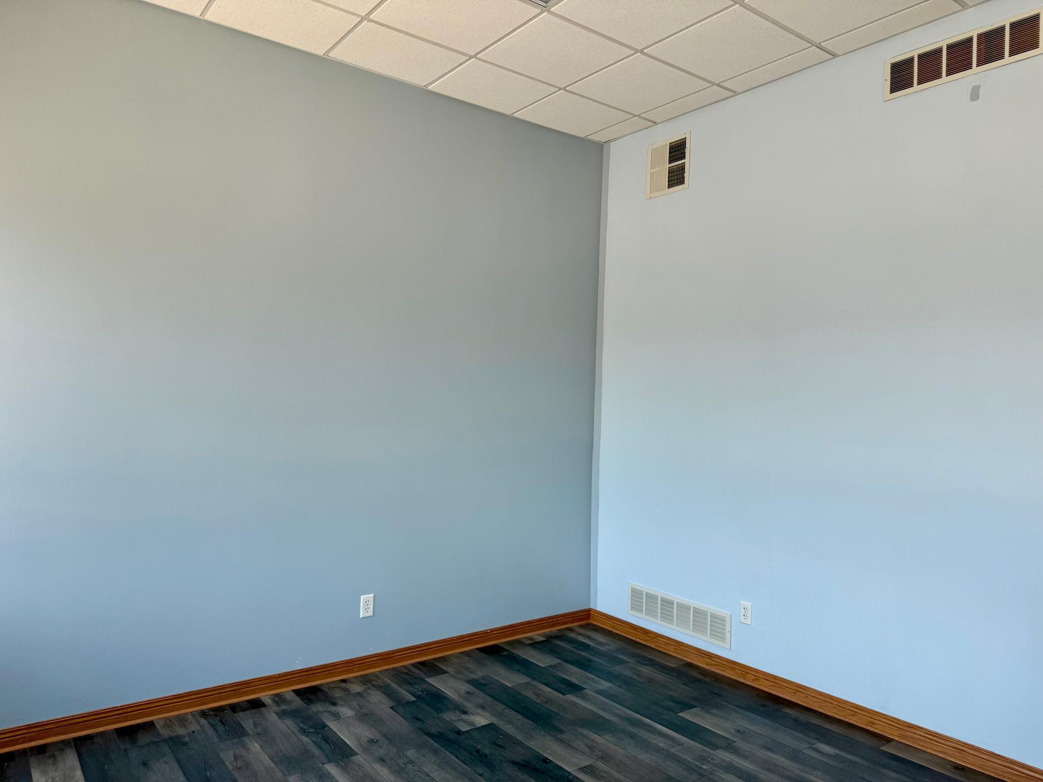 259 East Main Street Waterville, MN 56096 - Photo 7 of 21
