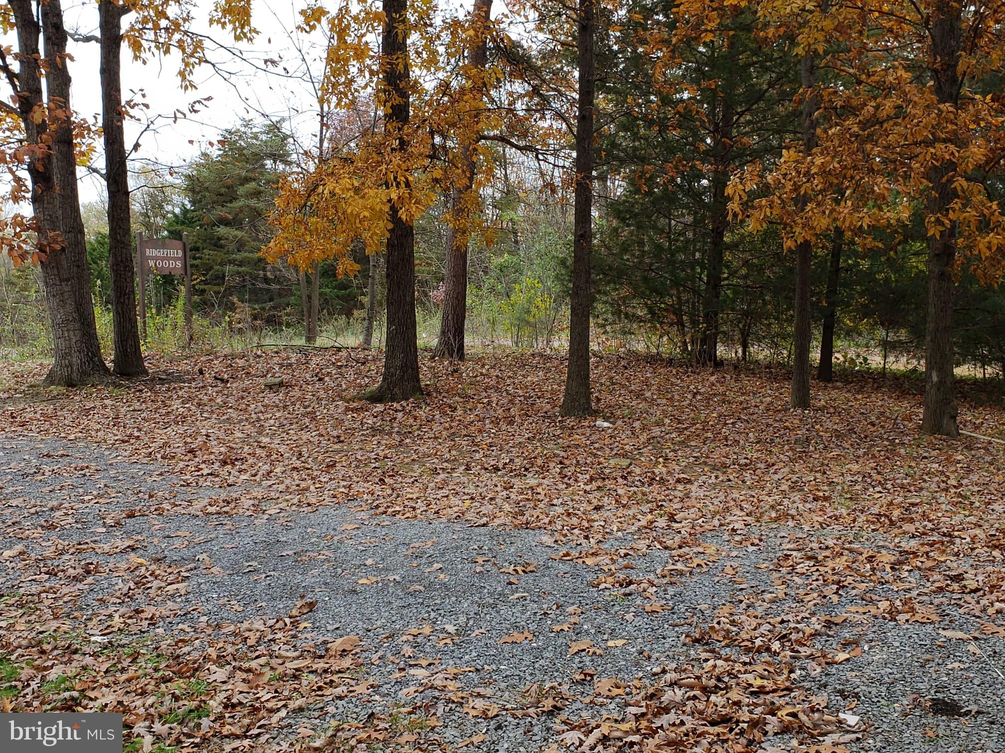 215 Ridgefield Avenue Stephens City, VA 22655 - Photo 20 of 21 Large yard