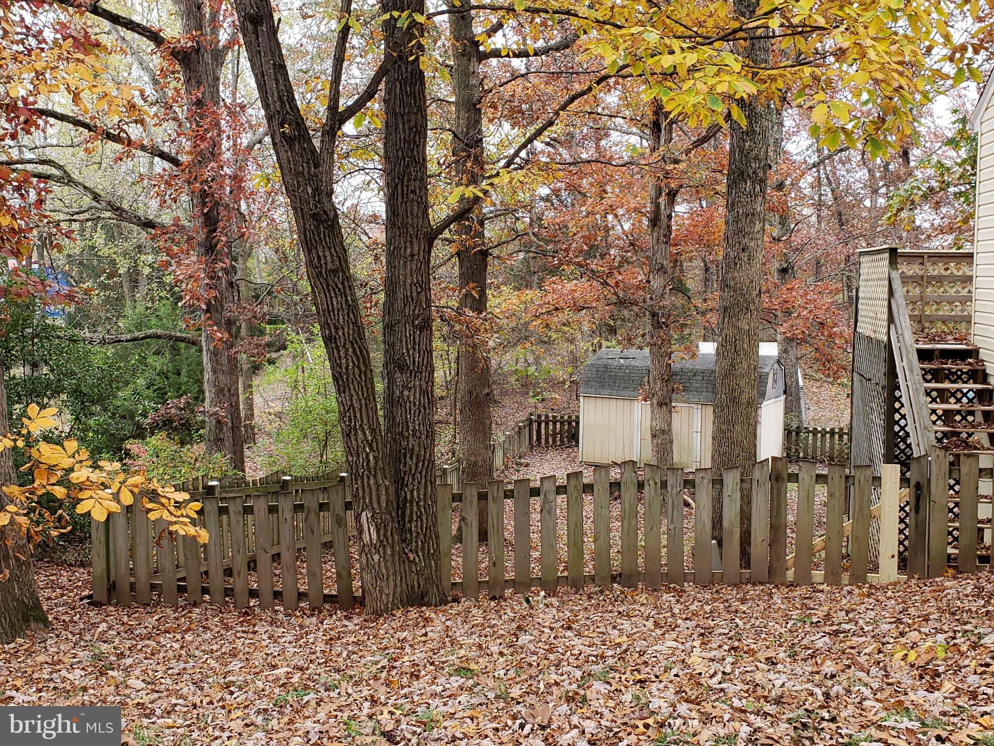 215 Ridgefield Avenue Stephens City, VA 22655 - Photo 4 of 21 Fenced in rear yard with storage shed.