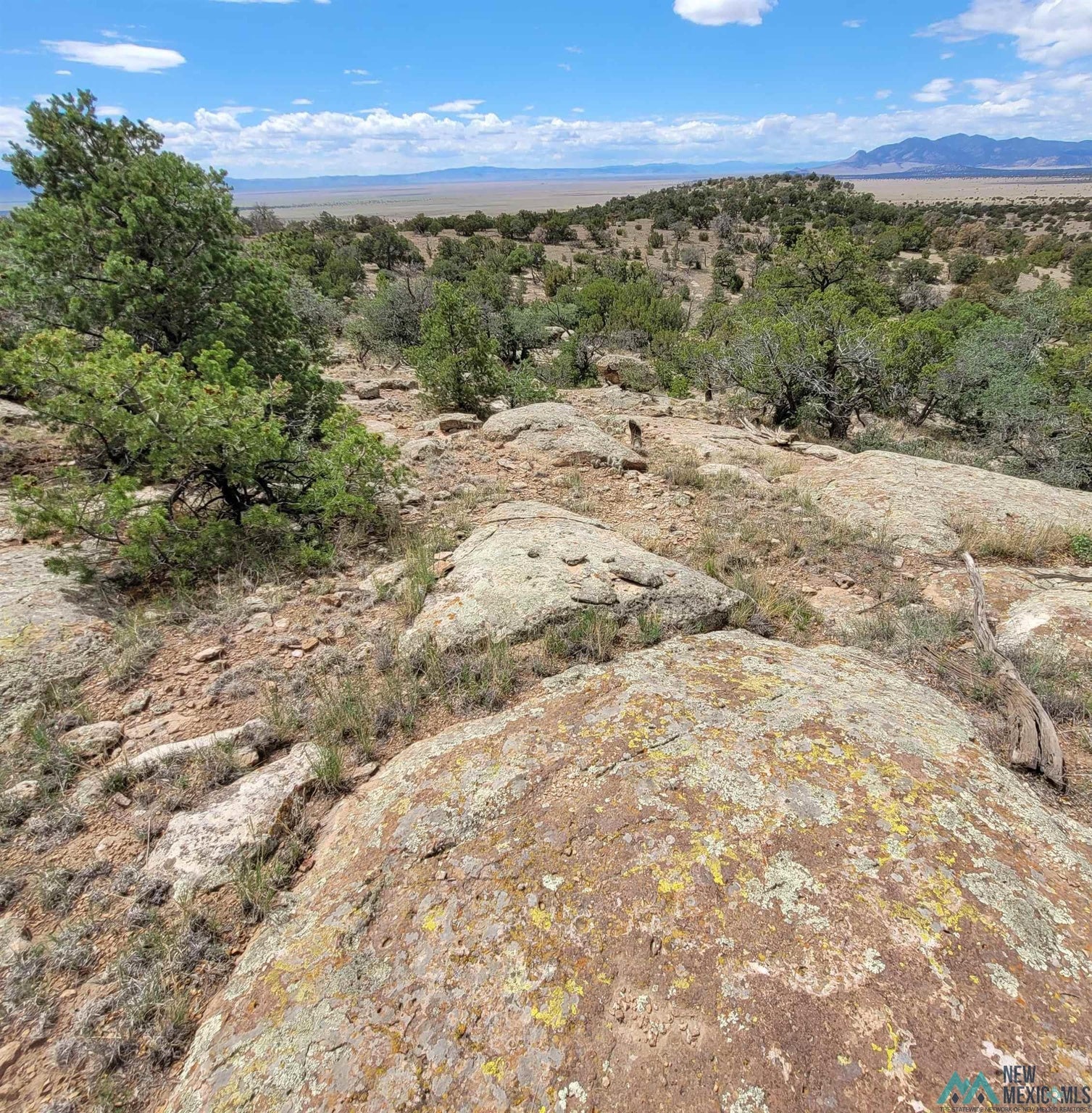 0 Lookout Loop, Unit 89 Datil, NM 87821 - Photo 6 of 38 Gallery Image 6