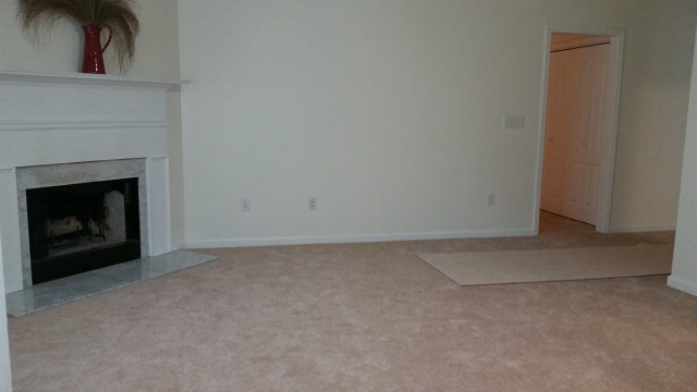 250 Autumn Ridge Court Gray, GA 31032 - Photo 4 of 12 a view of an empty room with a fireplace
