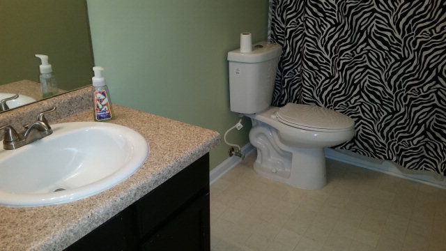 250 Autumn Ridge Court Gray, GA 31032 - Photo 8 of 12 a bathroom with a granite countertop sink and a toilet
