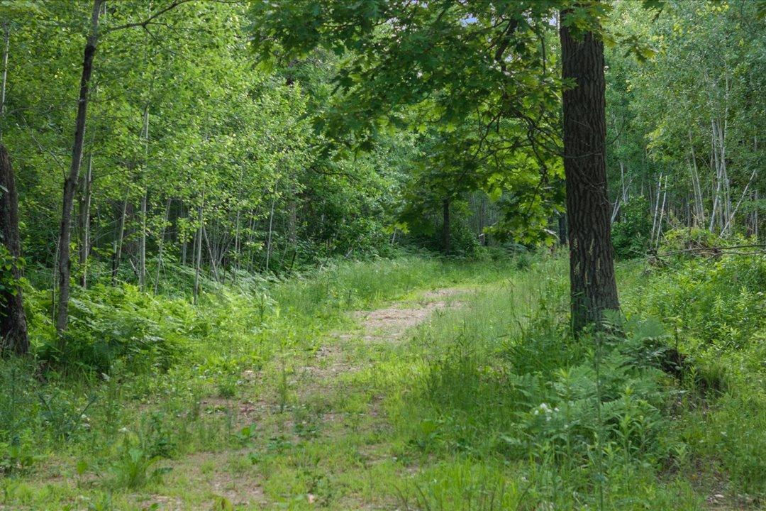 Tbd Mitchell Road Nisswa, MN 56468 - Photo 5 of 22
