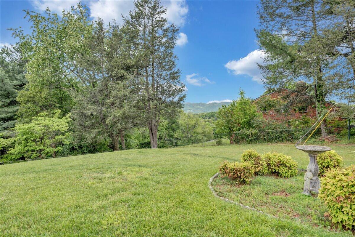 1808 Malvern Road Southwest Roanoke, VA 24015 - Photo 29 of 35 Backyard