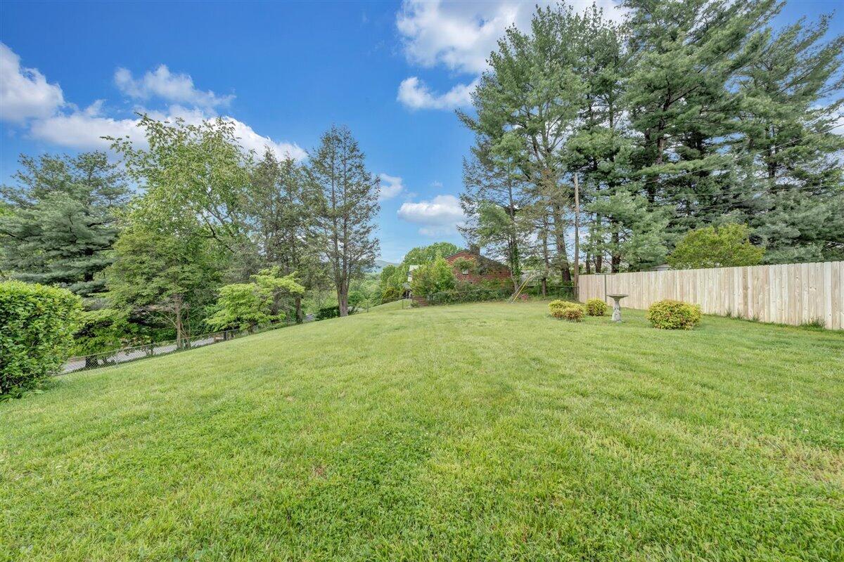 1808 Malvern Road Southwest Roanoke, VA 24015 - Photo 30 of 35 Backyard