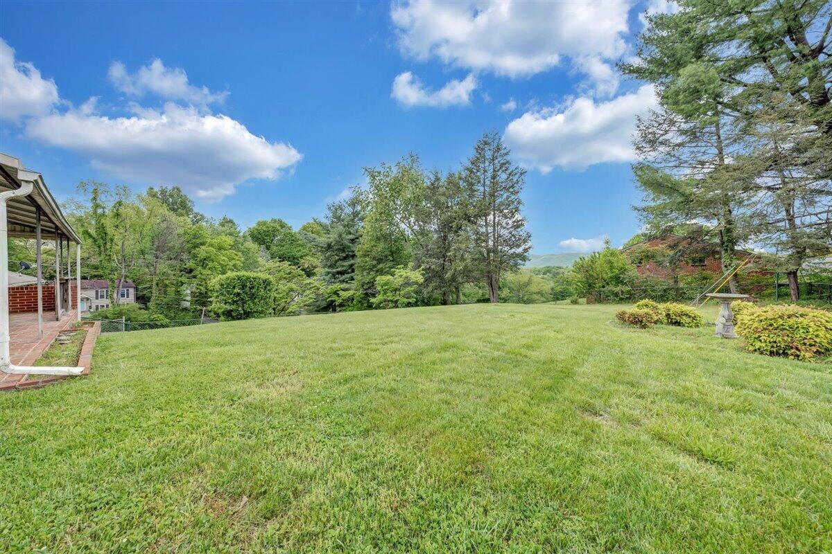 1808 Malvern Road Southwest Roanoke, VA 24015 - Photo 31 of 35 Backyard