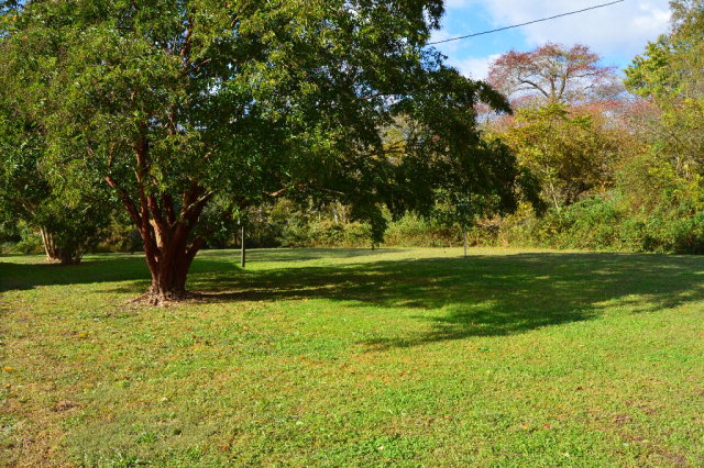 17436 St Thomas Road Parksley, VA 23421 - Photo 3 of 22