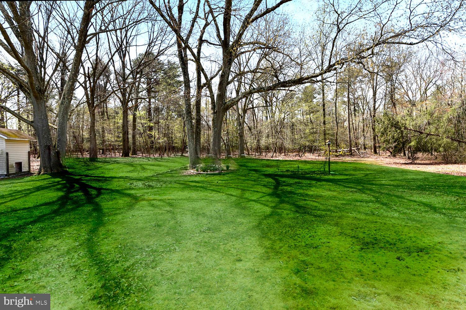 1661 Fairview Beach Road Pasadena, MD 21122 - Photo 20 of 37 Tree Bordered Yard with Verdant Level Lawn