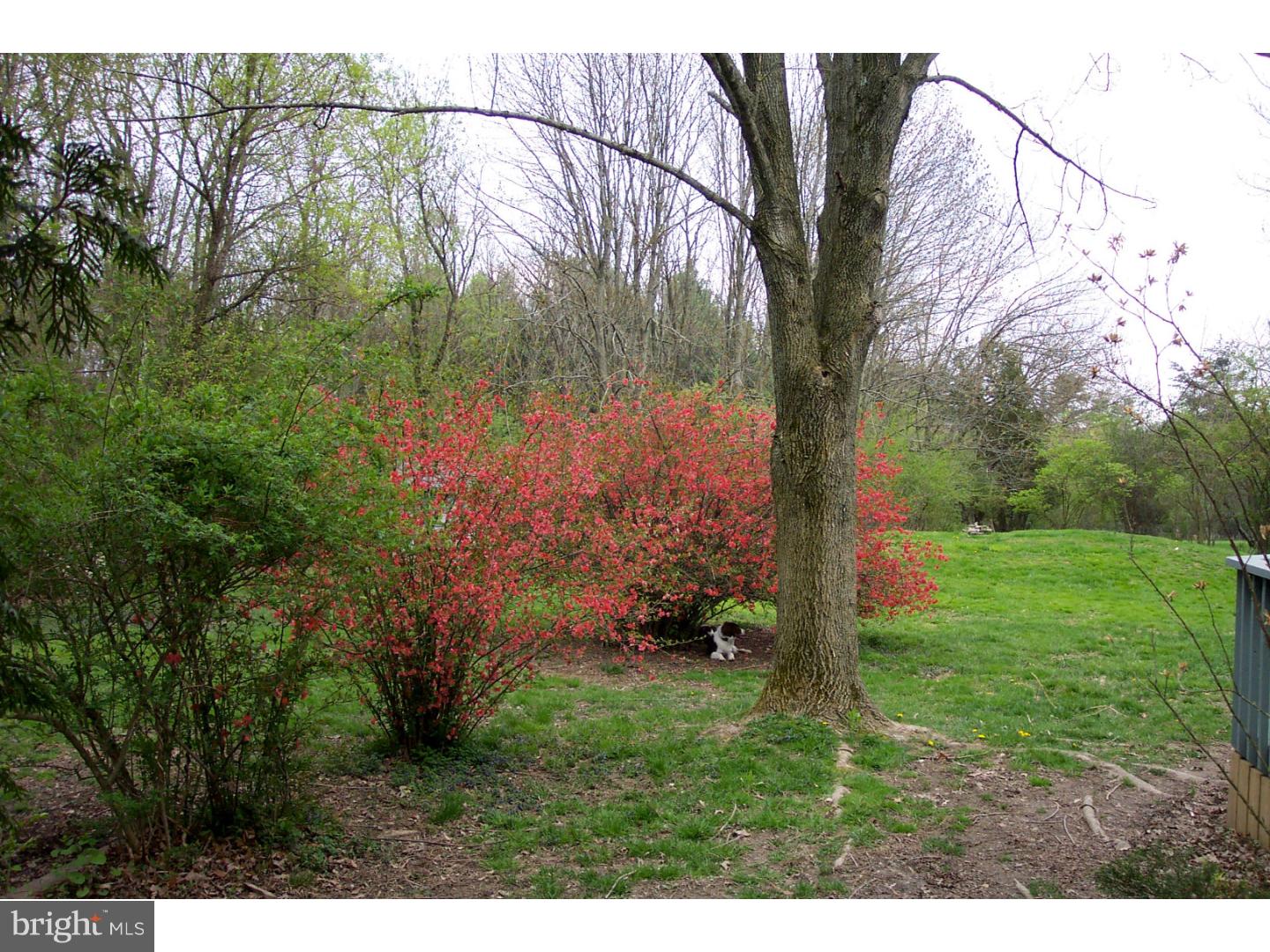 1004 Evans Road Lower Gwynedd, PA 19002 - Photo 22 of 23 Back Yard