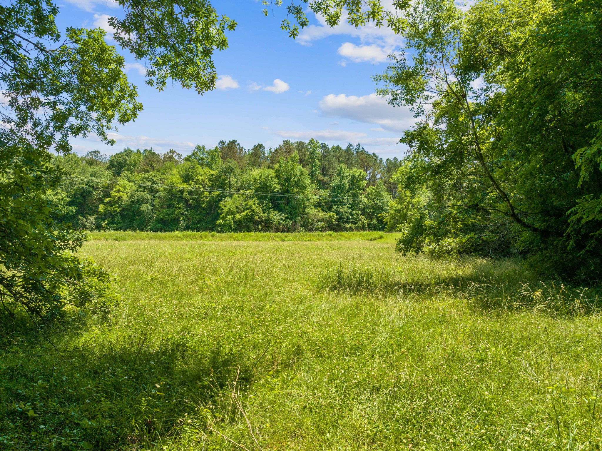 4519 Highway 100 Decaturville, TN 38329 - Photo 26 of 31 a view of a lake view with a garden