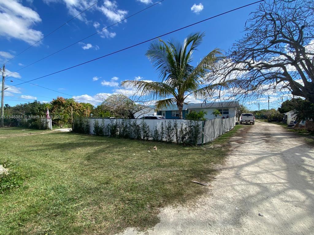 Everglades Homestead, FL 33030 - Photo 5 of 11 a palm tree sitting in a yard with palm trees