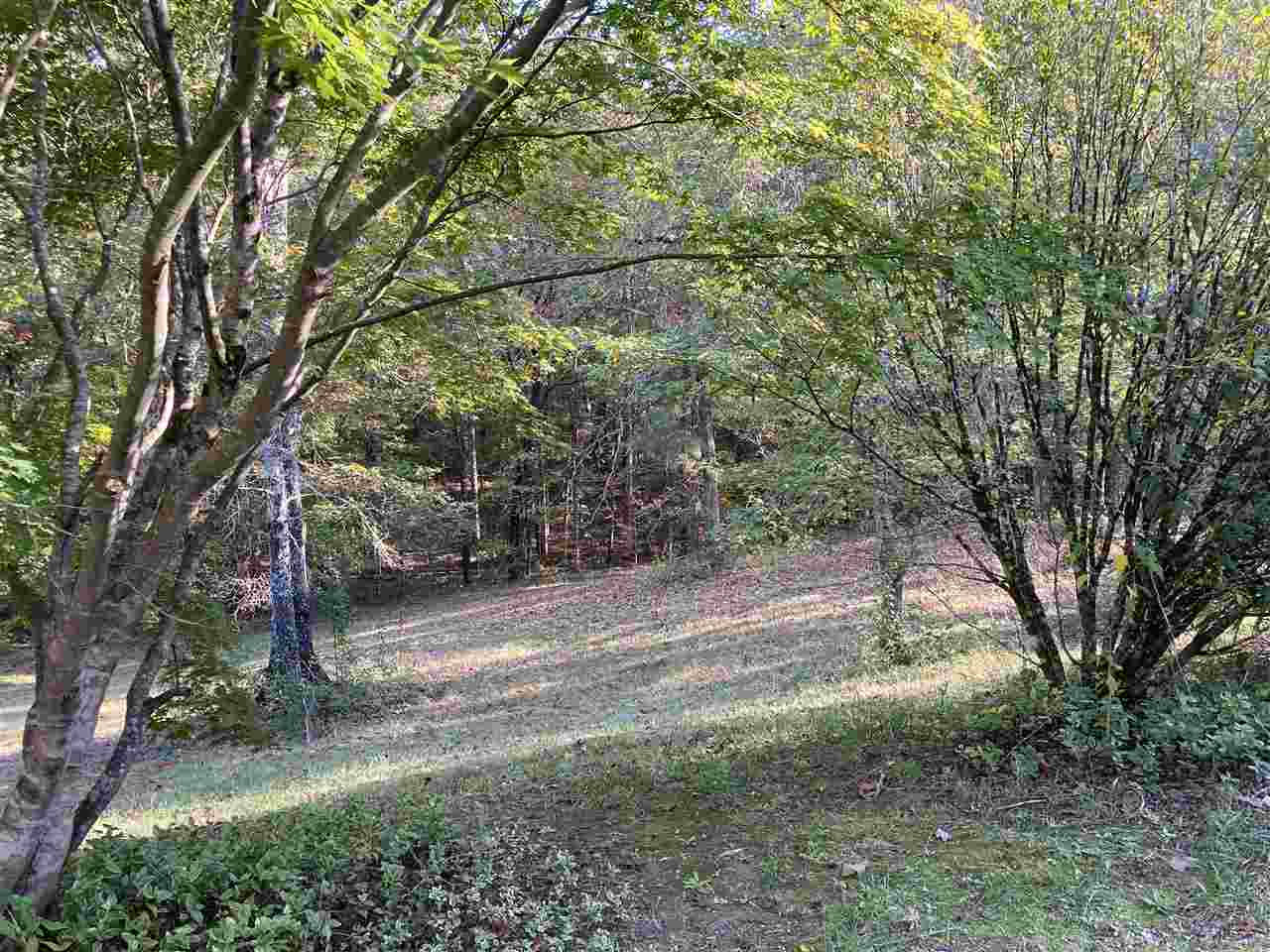130 Fire Tower Road Selmer, TN 38375 - Photo 8 of 22 Gallery Image 8