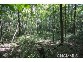 72 Rainbow Ridge Road, Unit 3 Swannanoa, NC 28778 - Photo 2 of 7 Gallery Image 2