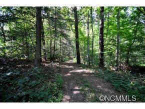 72 Rainbow Ridge Road, Unit 3 Swannanoa, NC 28778 - Photo 3 of 7 Gallery Image 3