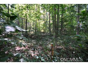 72 Rainbow Ridge Road, Unit 3 Swannanoa, NC 28778 - Photo 4 of 7 Gallery Image 4