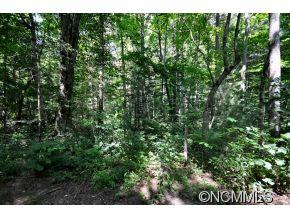 72 Rainbow Ridge Road, Unit 3 Swannanoa, NC 28778 - Photo 5 of 7 Gallery Image 5